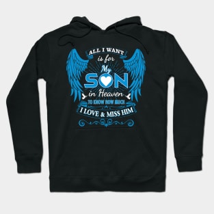 All I Want is for My Son in Heaven Hoodie